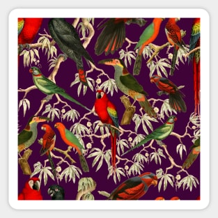 Tropical birds - Purple Sticker